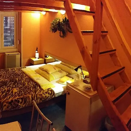 Guest In The Center Of Homestay